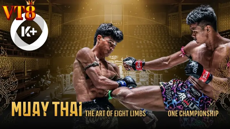 Muay Thai Betting VT8 | Live Combat Odds & Fighter Analytics